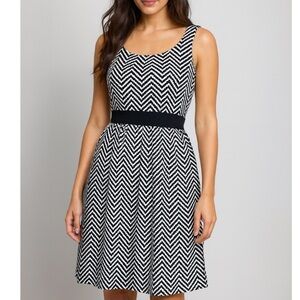 White House Black Market size 10 WHBM Zig Zag Tank Dress Chevron Fit-n- Flare